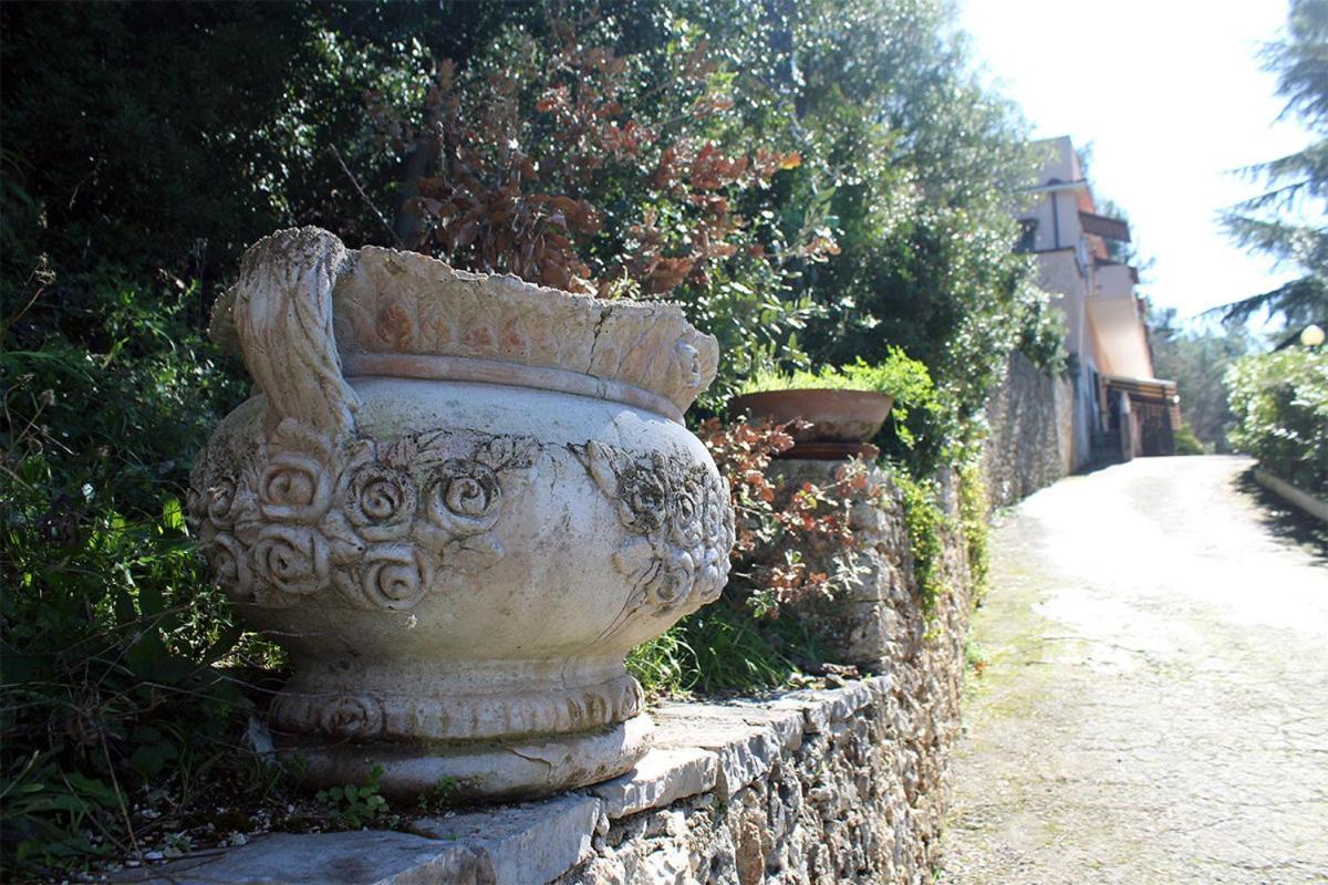 Farm stay Fara Del Falco *