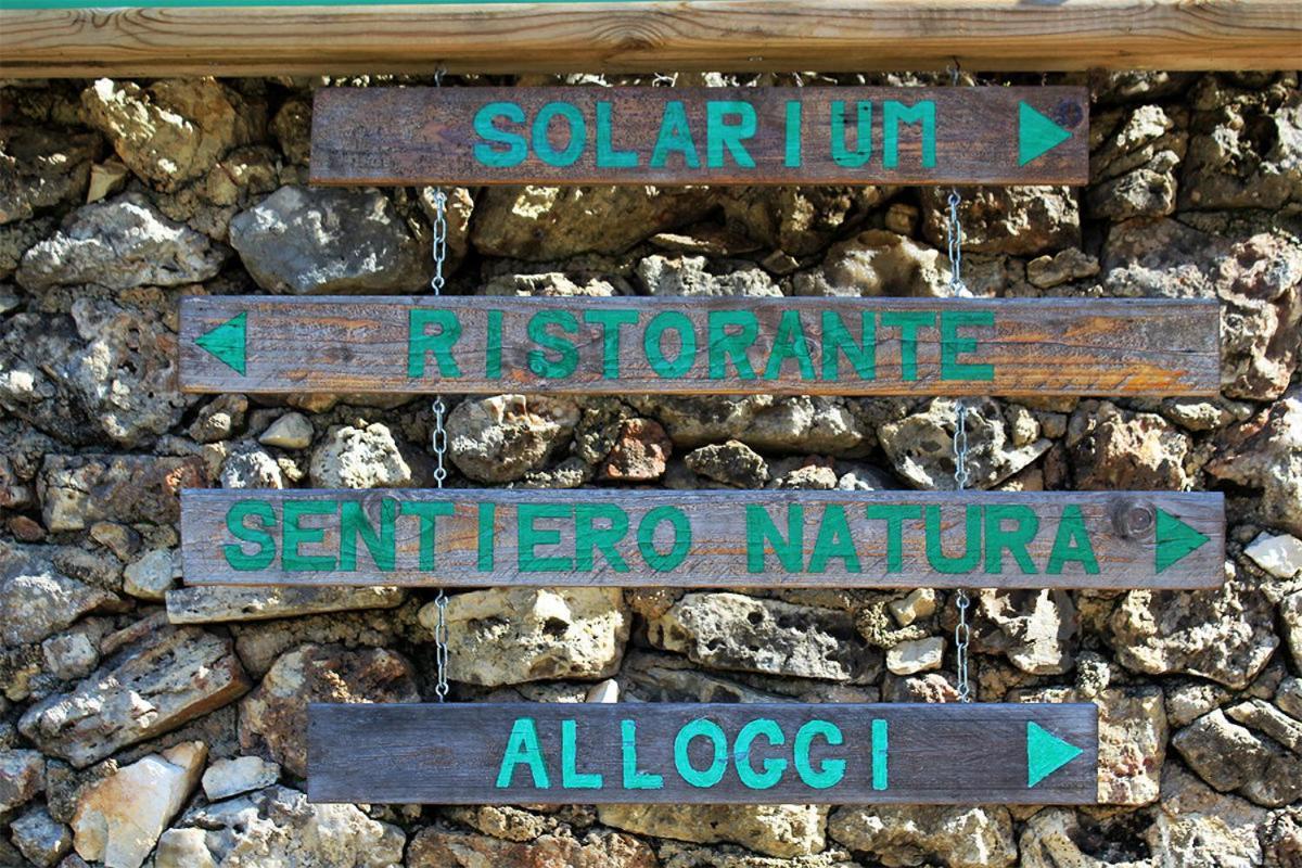 Fara Del Falco