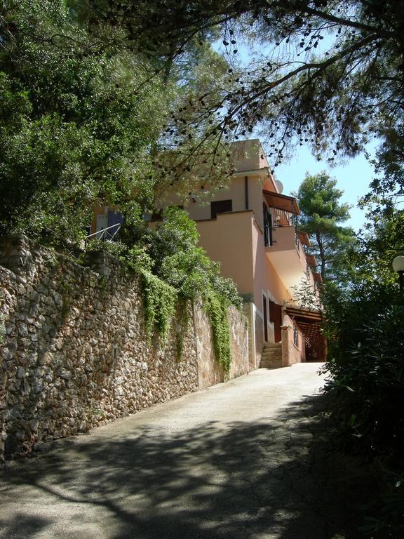 Fara Del Falco