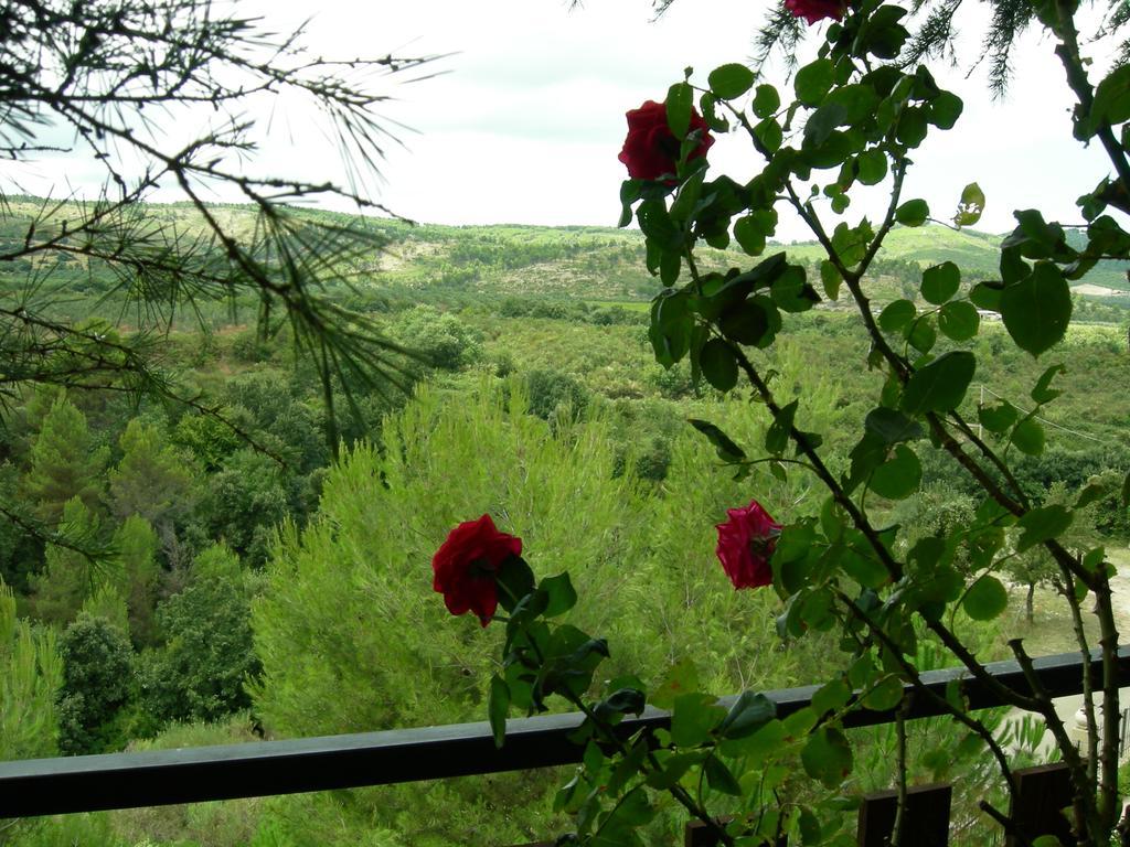 Bauernhof Fara Del Falco Vieste